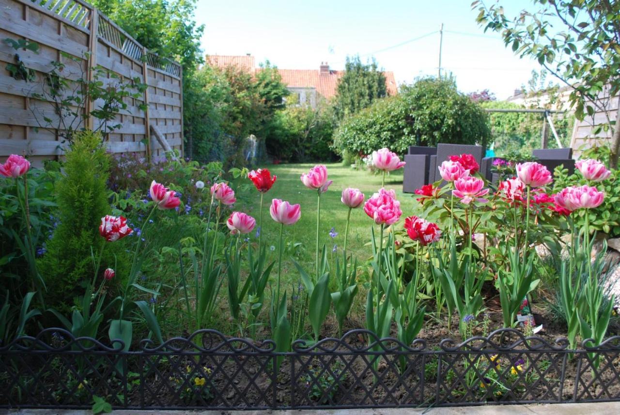 La Saint Martinoise Bed & Breakfast Exterior foto